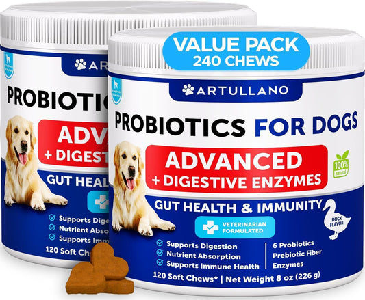 Dog Probiotic Soft Chews – 2 Pack, 240 Count