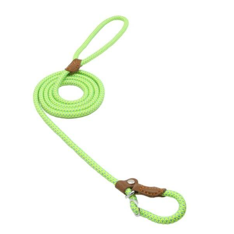 Nylon Dog Collar & Leash Set – Colorful, Durable & Adjustable