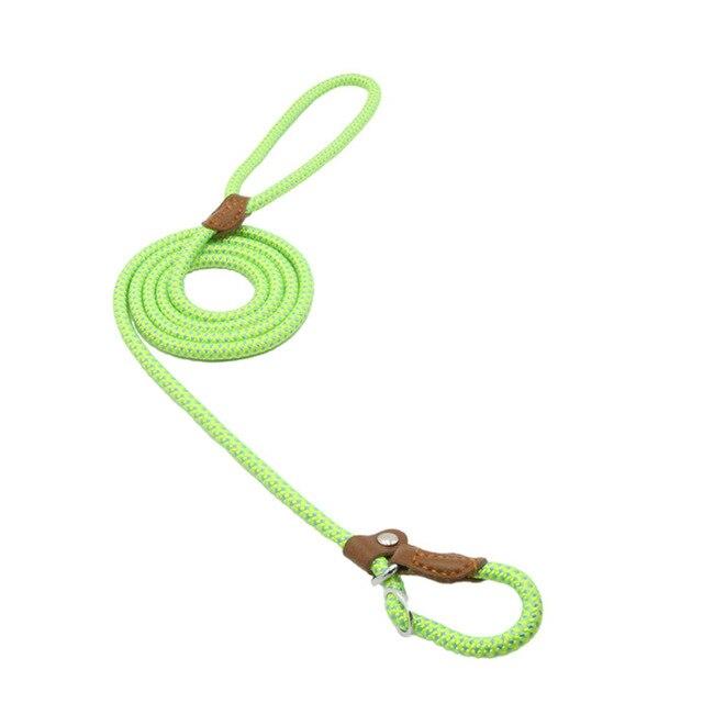 Nylon Dog Collar & Leash Set – Colorful, Durable & Adjustable