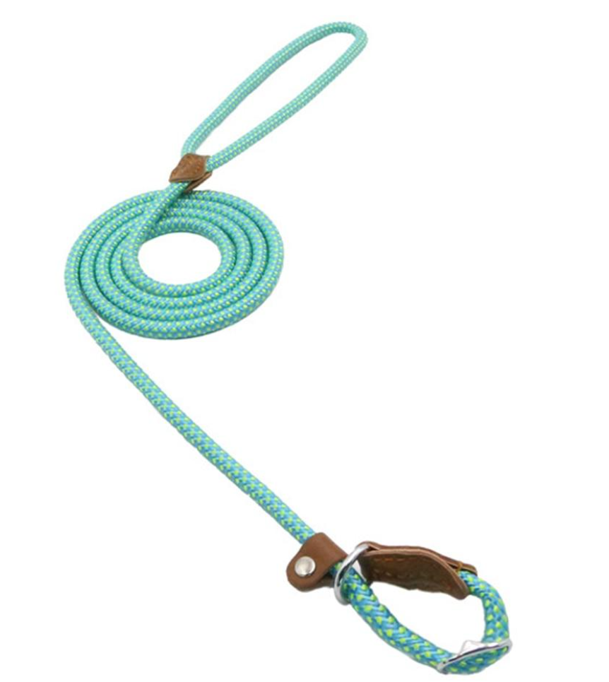 Nylon Dog Collar & Leash Set – Colorful, Durable & Adjustable