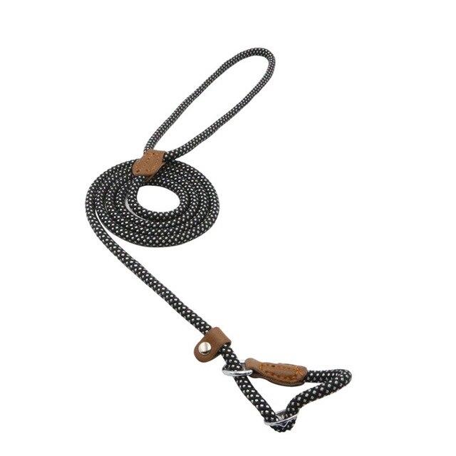Nylon Dog Collar & Leash Set – Colorful, Durable & Adjustable