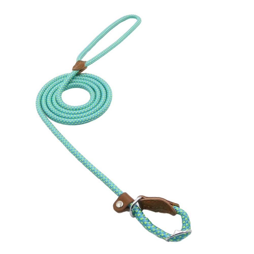 Nylon Dog Collar & Leash Set – Colorful, Durable & Adjustable
