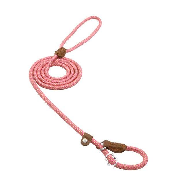 Nylon Dog Collar & Leash Set – Colorful, Durable & Adjustable