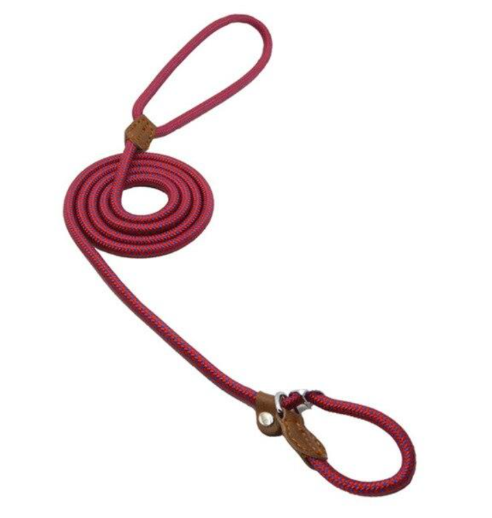 Nylon Dog Collar & Leash Set – Colorful, Durable & Adjustable