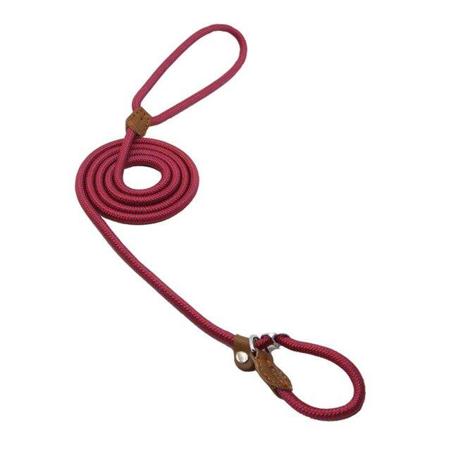 Nylon Dog Collar & Leash Set – Colorful, Durable & Adjustable