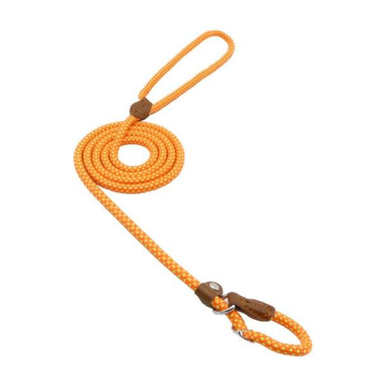 Nylon Dog Collar & Leash Set – Colorful, Durable & Adjustable