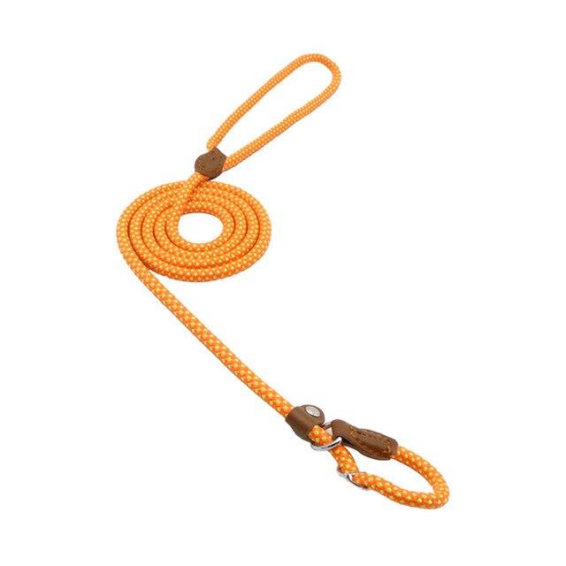 Nylon Dog Collar & Leash Set – Colorful, Durable & Adjustable