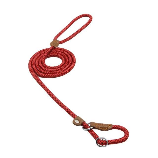Nylon Dog Collar & Leash Set – Colorful, Durable & Adjustable